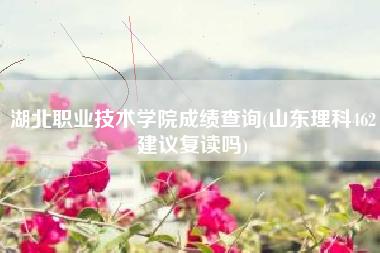 湖北职业技术学院成绩查询(山东理科462建议复读吗)