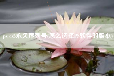 ps cs5永久序列号(怎么选择PS软件的版本)