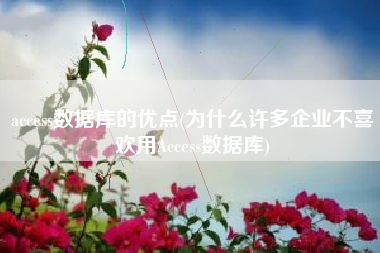 access数据库的优点(为什么许多企业不喜欢用Access数据库)