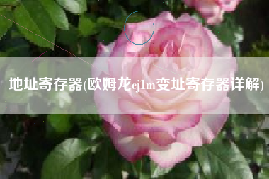 地址寄存器(欧姆龙cj1m变址寄存器详解)