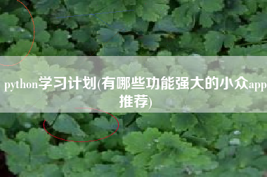 python学习计划(有哪些功能强大的小众app推荐)
