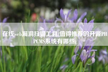 在线web漏洞扫描工具(值得推荐的开源PHPCMS系统有哪些)