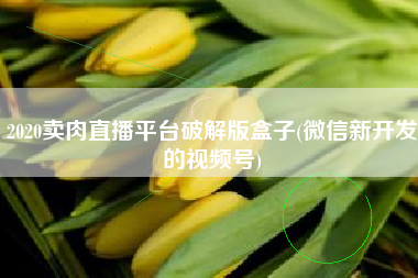 2020卖肉直播平台破解版盒子(微信新开发的视频号)