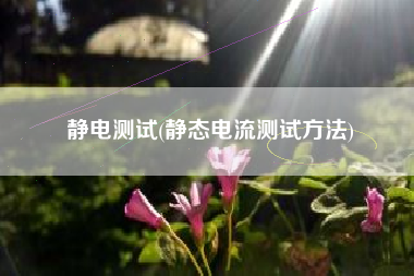 静电测试(静态电流测试方法)