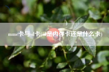 mmc卡与sd卡(sd是内存卡还是什么卡)
