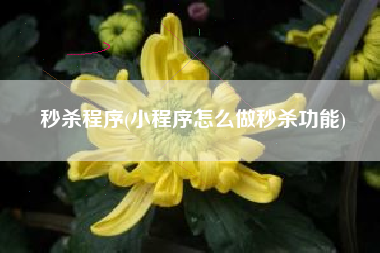 秒杀程序(小程序怎么做秒杀功能)