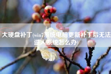 大硬盘补丁(win7系统电脑更新补丁后无法进入系统怎么办)