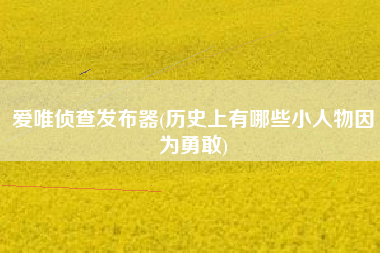 爱唯侦查发布器(历史上有哪些小人物因为勇敢)