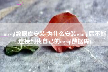 mysql数据库安装(为什么安装wamp后不能连接到我自己的mysql数据库)