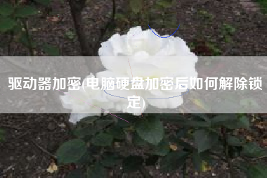 驱动器加密(电脑硬盘加密后如何解除锁定)