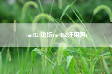 nod32 论坛(nod32好用吗)