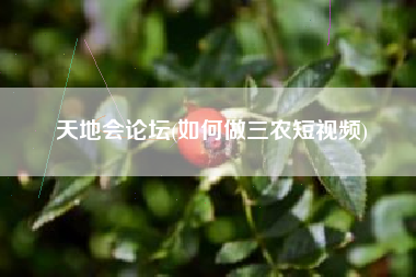 天地会论坛(如何做三农短视频)