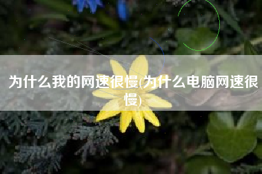 为什么我的网速很慢(为什么电脑网速很慢)