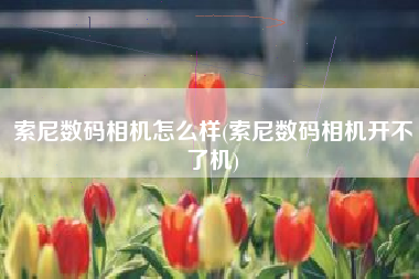 索尼数码相机怎么样(索尼数码相机开不了机)