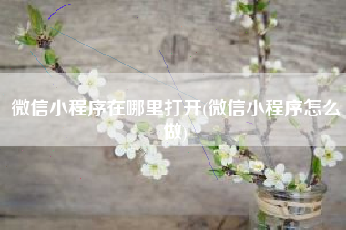 微信小程序在哪里打开(微信小程序怎么做)