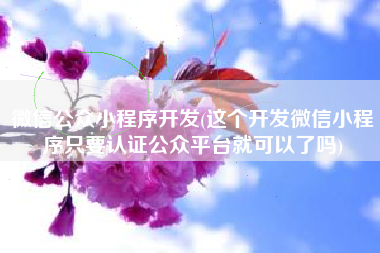 微信公众小程序开发(这个开发微信小程序只要认证公众平台就可以了吗)