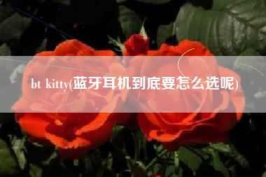 bt kitty(蓝牙耳机到底要怎么选呢)