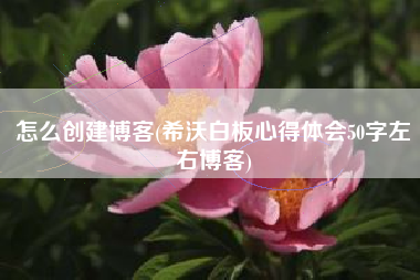 怎么创建博客(希沃白板心得体会50字左右博客)