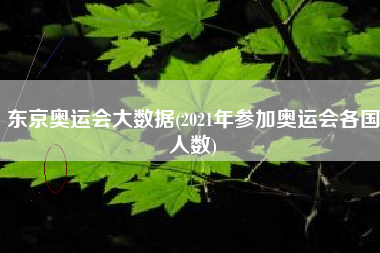 东京奥运会大数据(2021年参加奥运会各国人数)