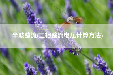 半波整流(三相整流电压计算方法)