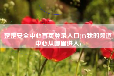 歪歪安全中心首页登录入口(YY我的频道中心从哪里进入)