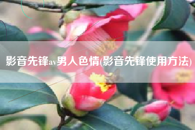 影音先锋av男人色情(影音先锋使用方法)