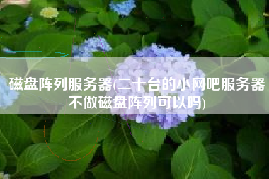 磁盘阵列服务器(二十台的小网吧服务器不做磁盘阵列可以吗)