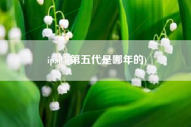 ipad5(第五代是哪年的)