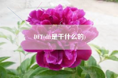 DFT(dft是干什么的)