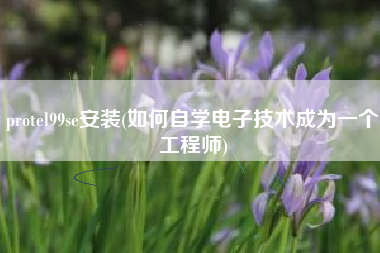 protel99se安装(如何自学电子技术成为一个工程师)