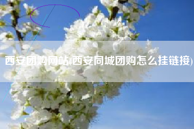 西安团购网站(西安同城团购怎么挂链接)