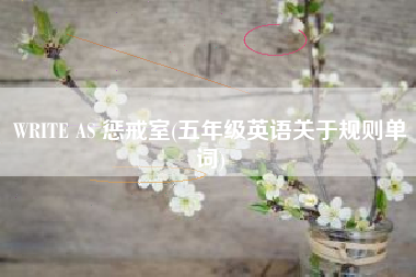 WRITE AS 惩戒室(五年级英语关于规则单词)