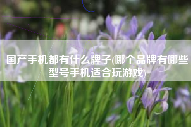 国产手机都有什么牌子(哪个品牌有哪些型号手机适合玩游戏)