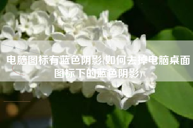 电脑图标有蓝色阴影(如何去掉电脑桌面图标下的蓝色阴影)