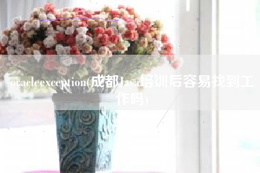 oracleexception(成都Java培训后容易找到工作吗)