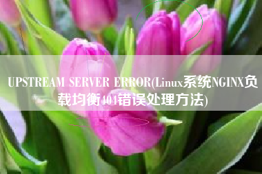 UPSTREAM SERVER ERROR(Linux系统NGINX负载均衡404错误处理方法)