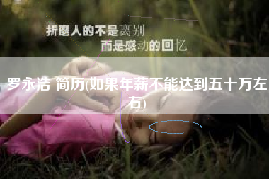 罗永浩 简历(如果年薪不能达到五十万左右)