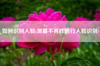 如何识别人脸(屏幕不亮咋进行人脸识别)