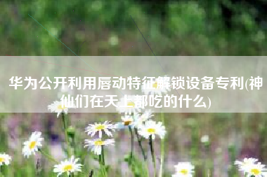 华为公开利用唇动特征解锁设备专利(神仙们在天上都吃的什么)