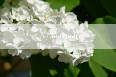 ctrl z(ctrl和ctrl)