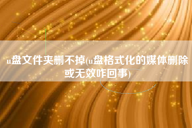u盘文件夹删不掉(u盘格式化的媒体删除或无效咋回事)