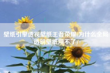 壁纸引擎透视壁纸王者荣耀(为什么全局透明壁纸用不了)