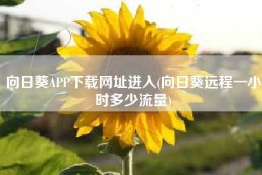向日葵APP下载网址进入(向日葵远程一小时多少流量)