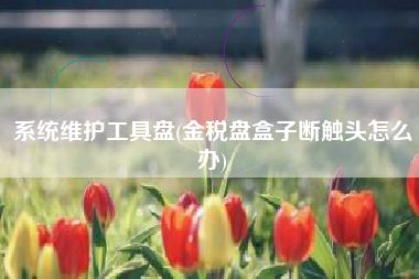 系统维护工具盘(金税盘盒子断触头怎么办)
