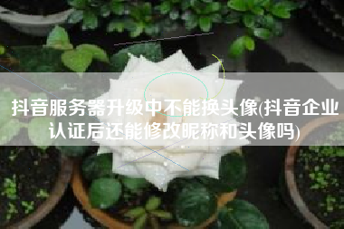 抖音服务器升级中不能换头像(抖音企业认证后还能修改昵称和头像吗)