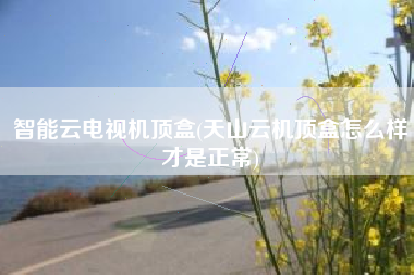 智能云电视机顶盒(天山云机顶盒怎么样才是正常)
