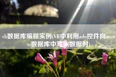 vb数据库编程实例(VB中利用ado控件向access数据库中写入数据时)