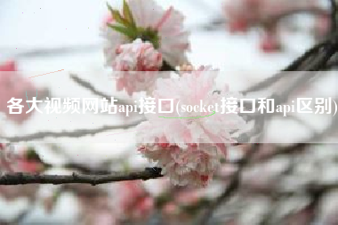 各大视频网站api接口(socket接口和api区别)