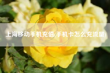 上海移动手机充值(手机卡怎么充流量)