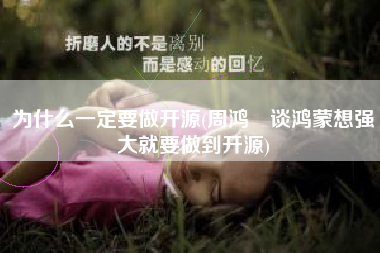 为什么一定要做开源(周鸿祎谈鸿蒙想强大就要做到开源)